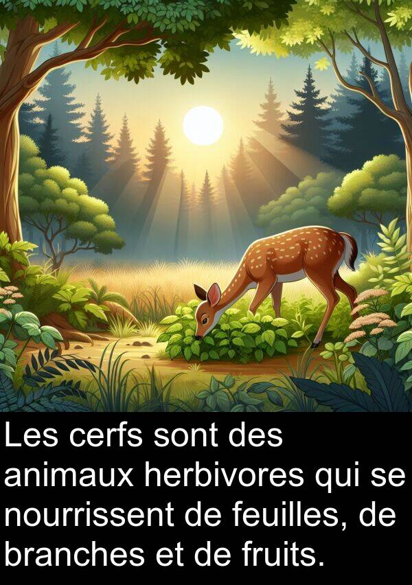 feuilles: Les cerfs sont des animaux herbivores qui se nourrissent de feuilles, de branches et de fruits.