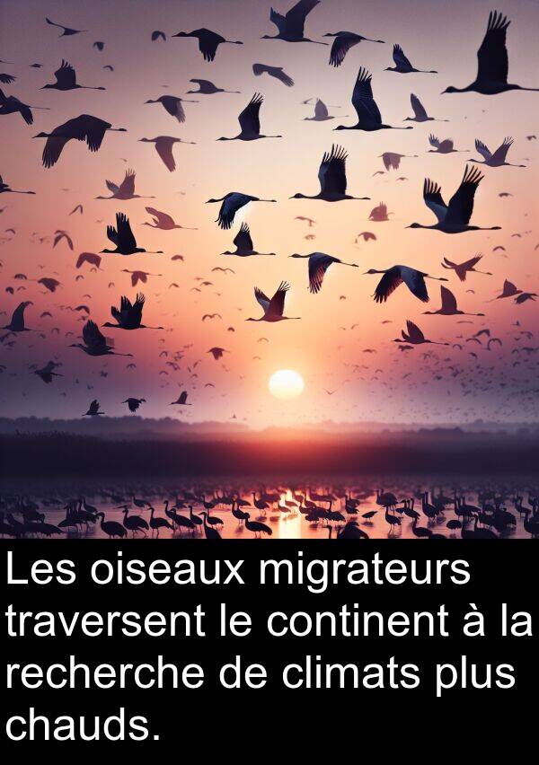 oiseaux: Les oiseaux migrateurs traversent le continent à la recherche de climats plus chauds.