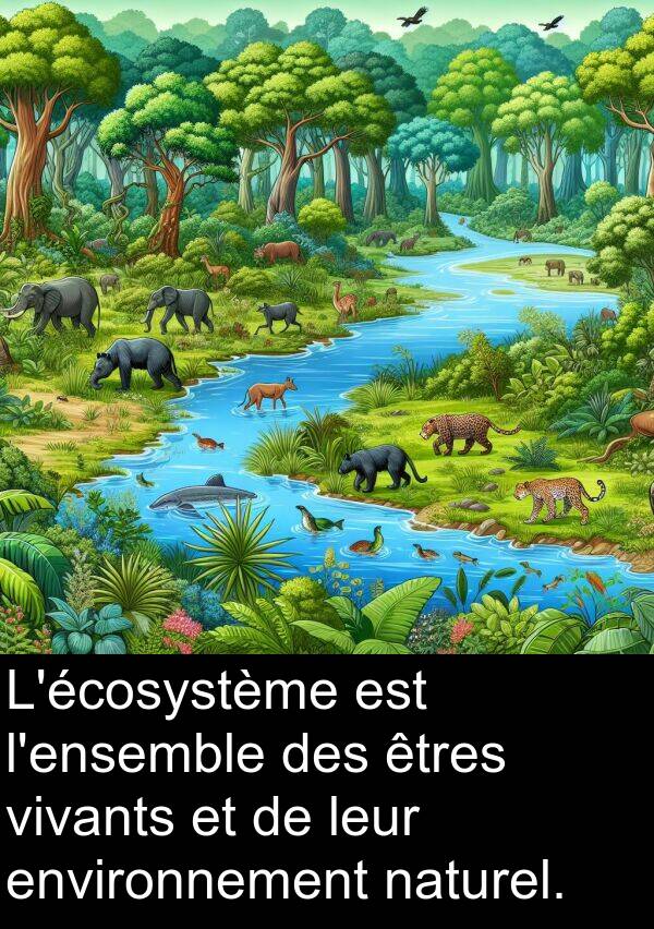 leur: L'écosystème est l'ensemble des êtres vivants et de leur environnement naturel.