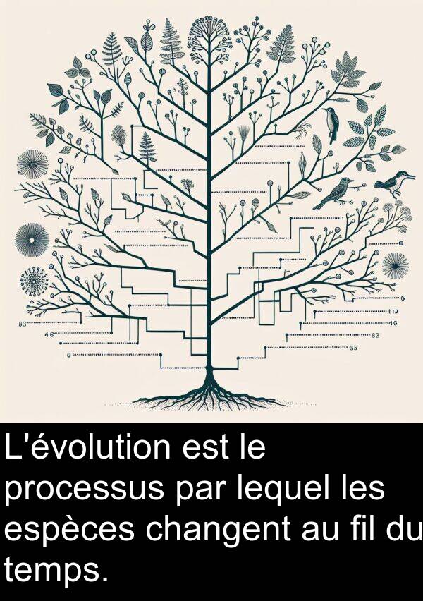 fil: L'évolution est le processus par lequel les espèces changent au fil du temps.