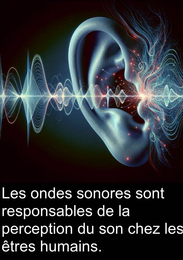 perception: Les ondes sonores sont responsables de la perception du son chez les êtres humains.