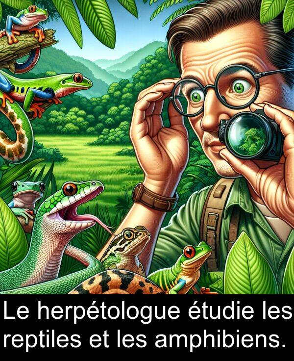 amphibiens: Le herpétologue étudie les reptiles et les amphibiens.