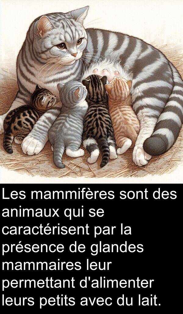 mammaires: Les mammifères sont des animaux qui se caractérisent par la présence de glandes mammaires leur permettant d'alimenter leurs petits avec du lait.