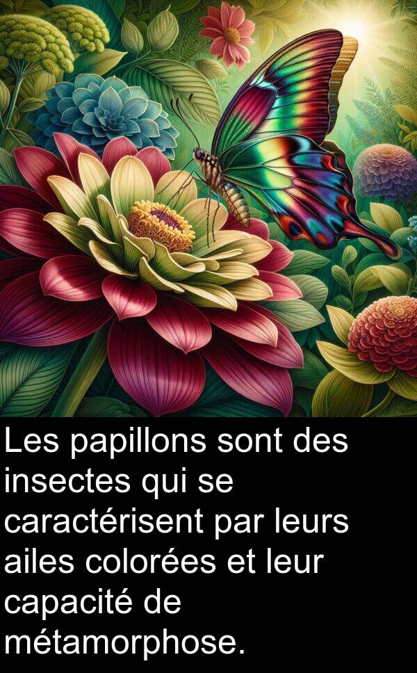 papillons: Les papillons sont des insectes qui se caractérisent par leurs ailes colorées et leur capacité de métamorphose.