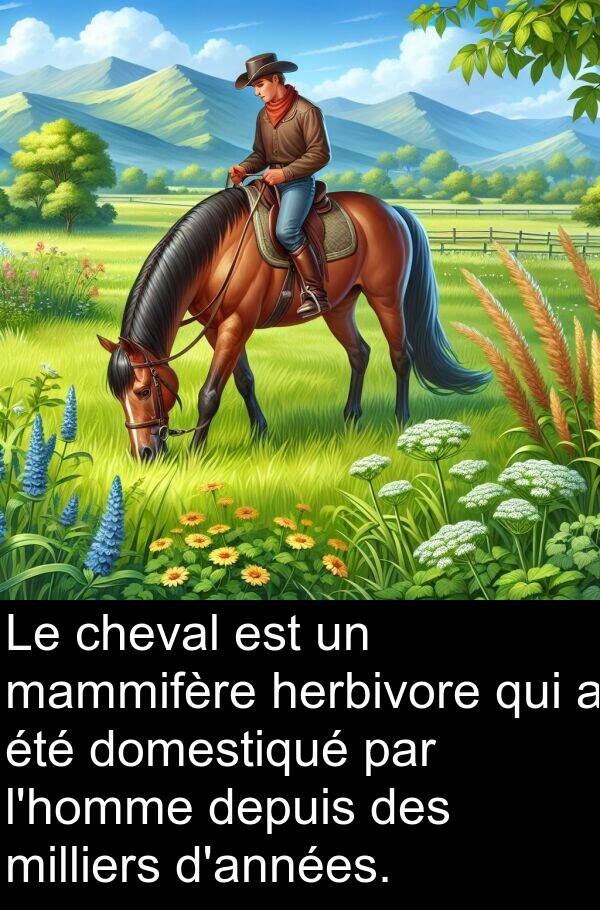 mammifère: Le cheval est un mammifère herbivore qui a été domestiqué par l'homme depuis des milliers d'années.