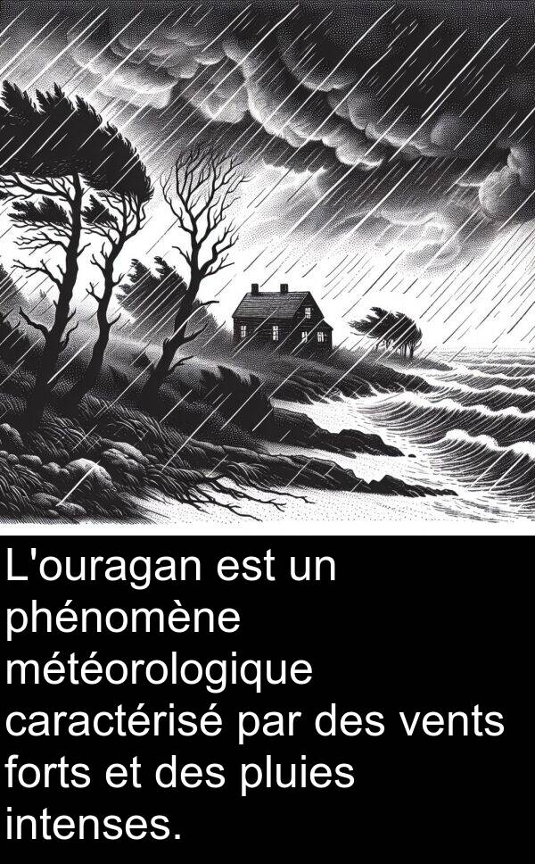 vents: L'ouragan est un phénomène météorologique caractérisé par des vents forts et des pluies intenses.