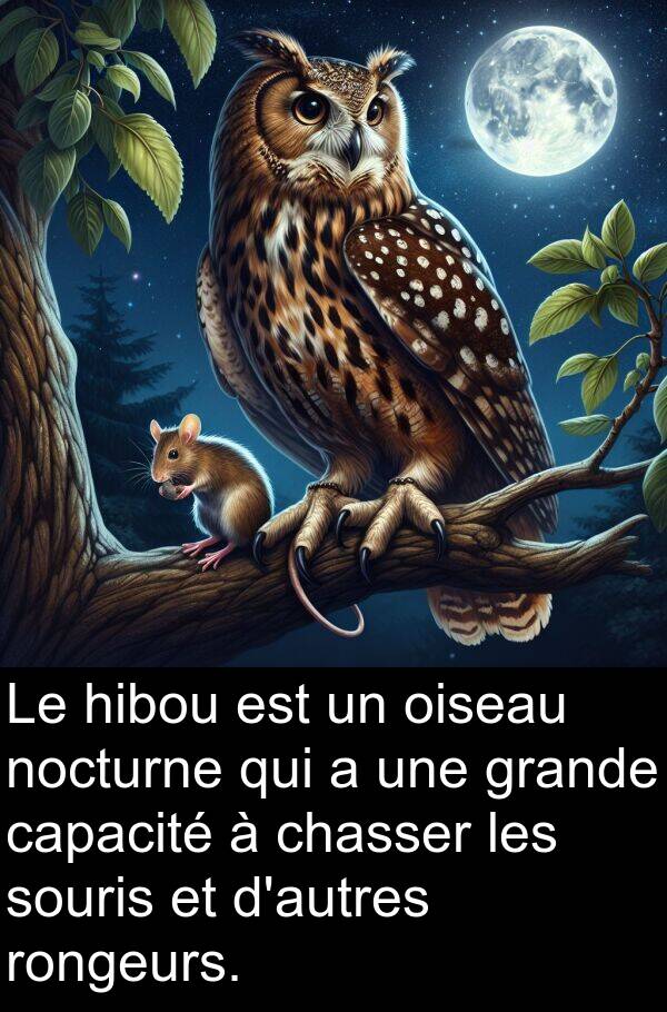 oiseau: Le hibou est un oiseau nocturne qui a une grande capacité à chasser les souris et d'autres rongeurs.