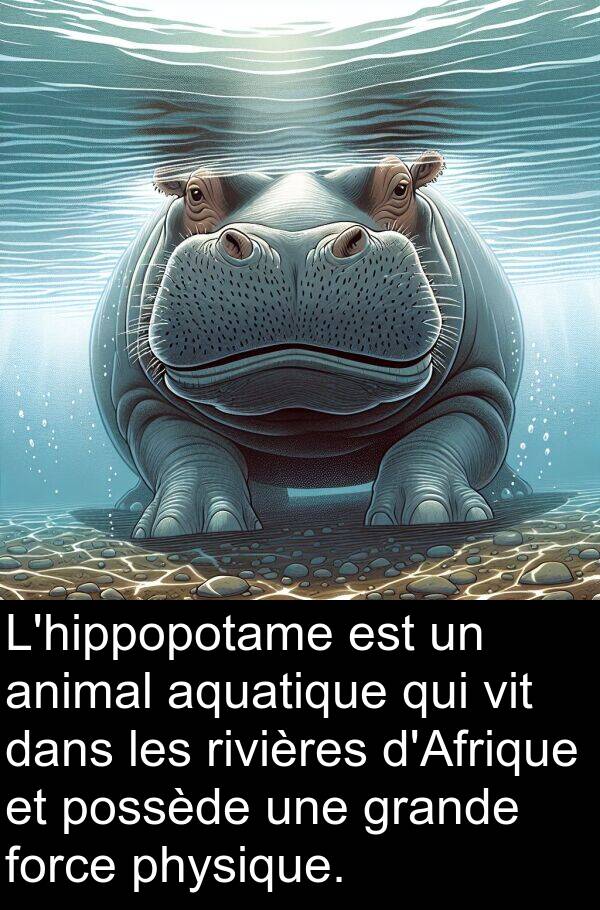 aquatique: L'hippopotame est un animal aquatique qui vit dans les rivières d'Afrique et possède une grande force physique.