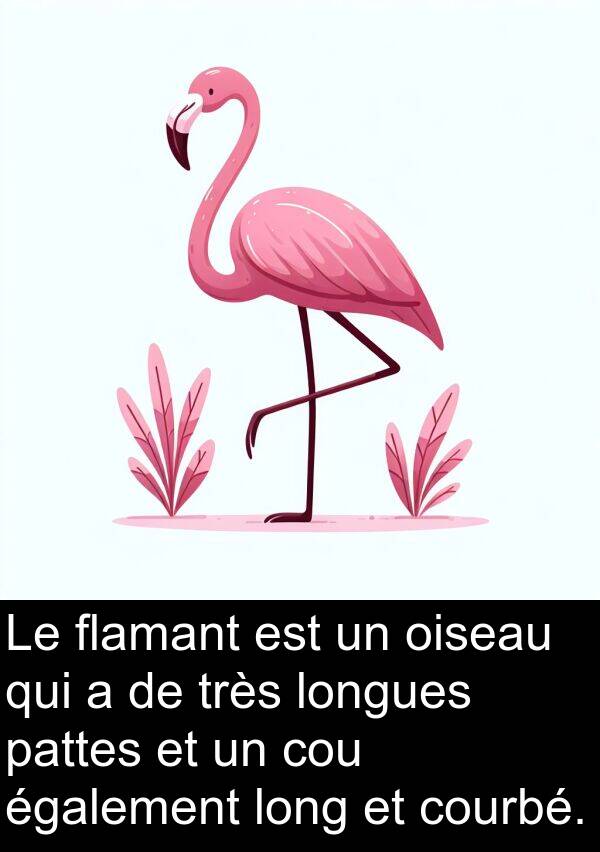 oiseau: Le flamant est un oiseau qui a de très longues pattes et un cou également long et courbé.