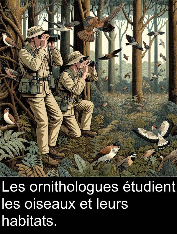 habitats: Les ornithologues étudient les oiseaux et leurs habitats.