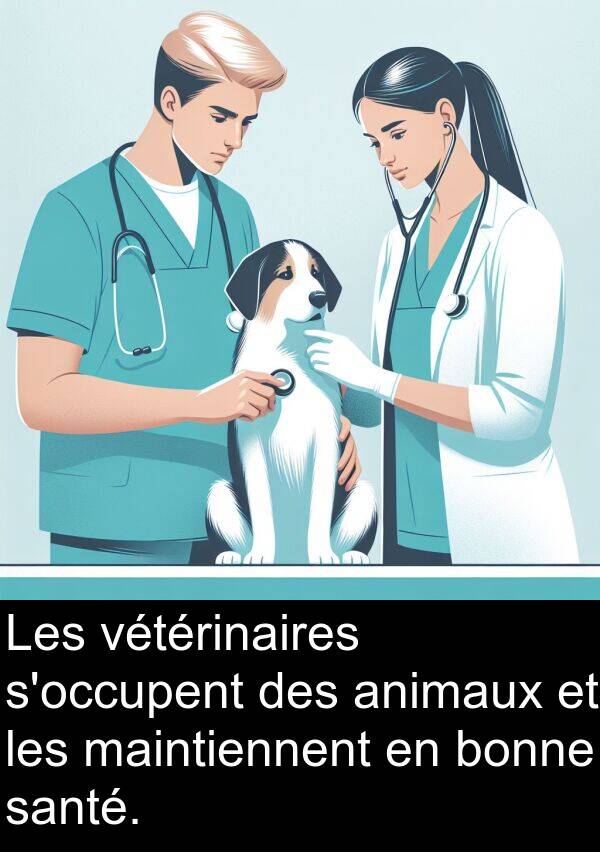 bonne: Les vétérinaires s'occupent des animaux et les maintiennent en bonne santé.