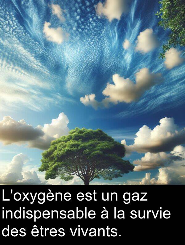 gaz: L'oxygène est un gaz indispensable à la survie des êtres vivants.