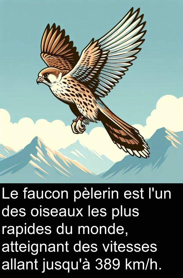 faucon: Le faucon pèlerin est l'un des oiseaux les plus rapides du monde, atteignant des vitesses allant jusqu'à 389 km/h.