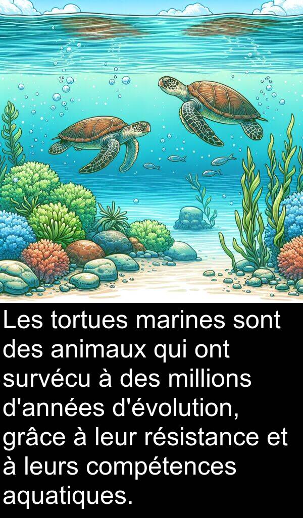 aquatiques: Les tortues marines sont des animaux qui ont survécu à des millions d'années d'évolution, grâce à leur résistance et à leurs compétences aquatiques.