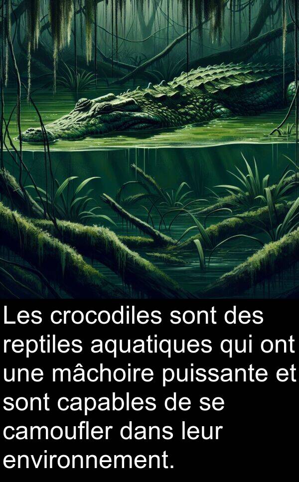 aquatiques: Les crocodiles sont des reptiles aquatiques qui ont une mâchoire puissante et sont capables de se camoufler dans leur environnement.