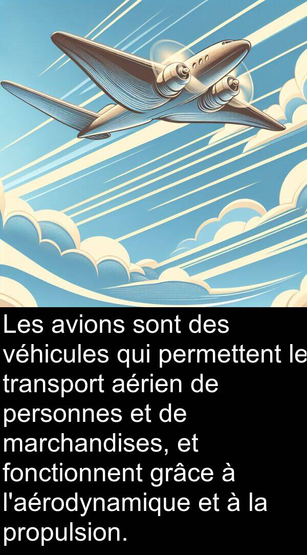 véhicules: Les avions sont des véhicules qui permettent le transport aérien de personnes et de marchandises, et fonctionnent grâce à l'aérodynamique et à la propulsion.