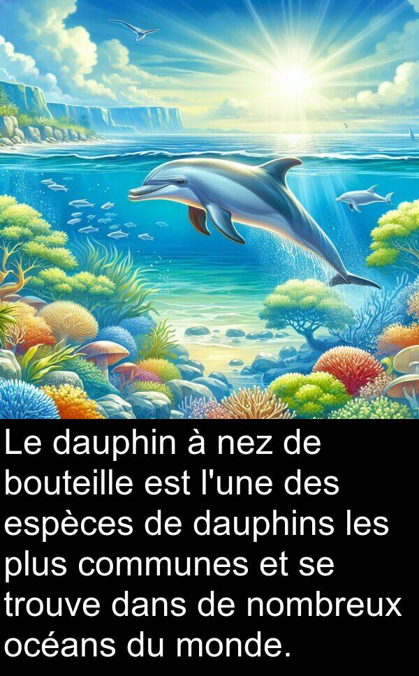 océans: Le dauphin à nez de bouteille est l'une des espèces de dauphins les plus communes et se trouve dans de nombreux océans du monde.