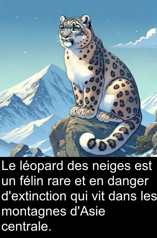 félin: Le léopard des neiges est un félin rare et en danger d'extinction qui vit dans les montagnes d'Asie centrale.