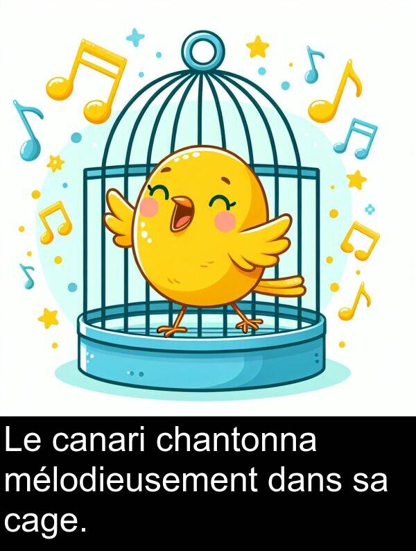 cage: Le canari chantonna mélodieusement dans sa cage.