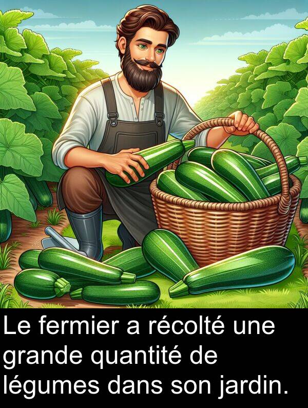 quantité: Le fermier a récolté une grande quantité de légumes dans son jardin.