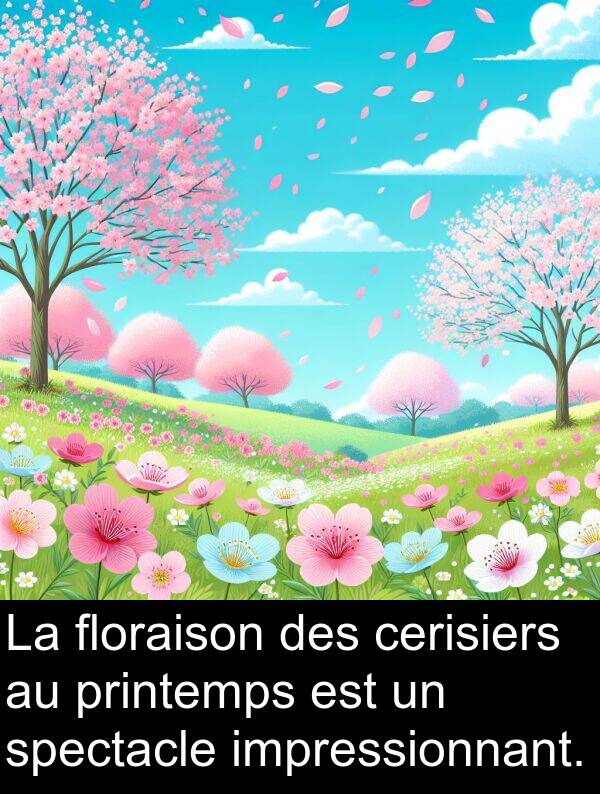 floraison: La floraison des cerisiers au printemps est un spectacle impressionnant.