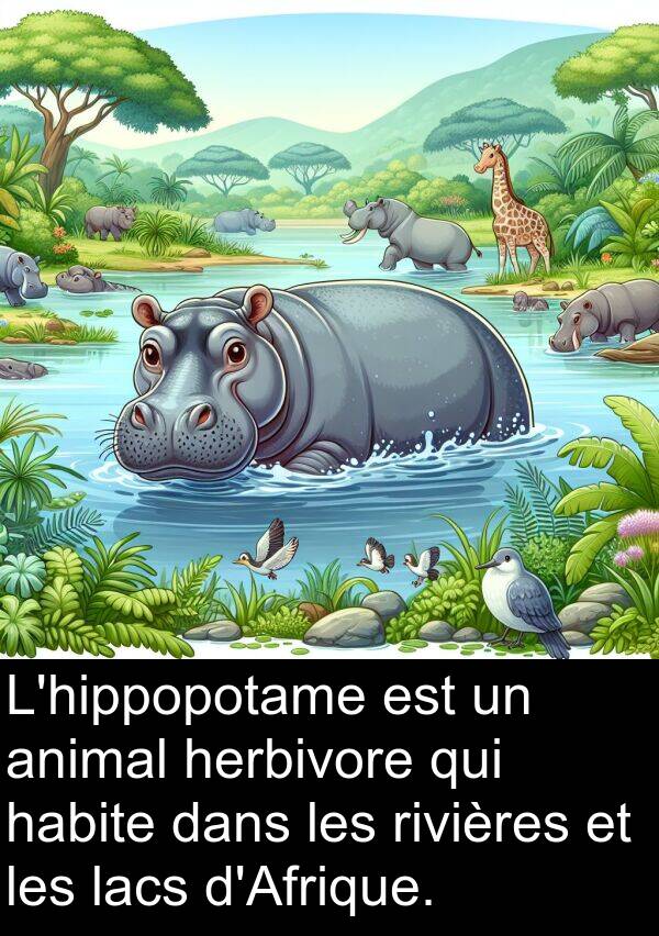 herbivore: L'hippopotame est un animal herbivore qui habite dans les rivières et les lacs d'Afrique.