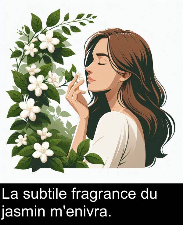 subtile: La subtile fragrance du jasmin m'enivra.