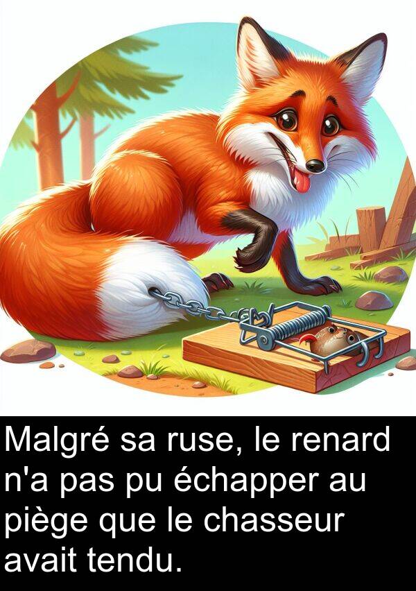 tendu: Malgré sa ruse, le renard n'a pas pu échapper au piège que le chasseur avait tendu.