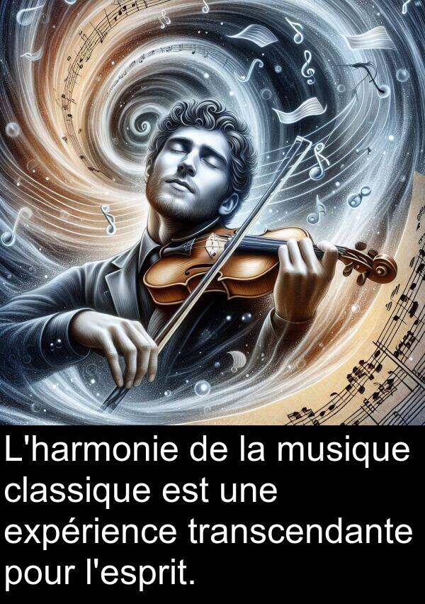 musique: L'harmonie de la musique classique est une expérience transcendante pour l'esprit.