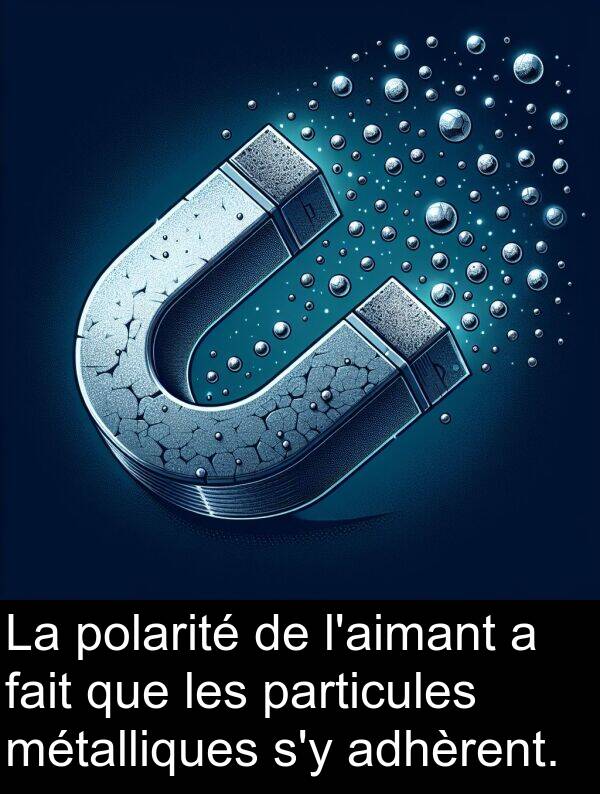 adhèrent: La polarité de l'aimant a fait que les particules métalliques s'y adhèrent.