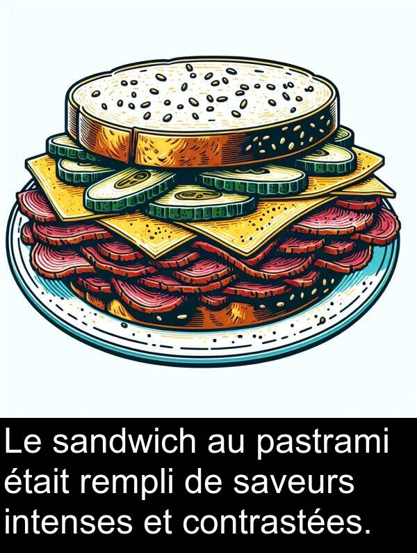 sandwich: Le sandwich au pastrami était rempli de saveurs intenses et contrastées.