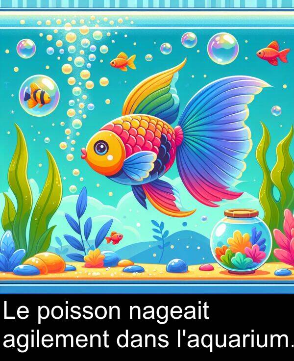 poisson: Le poisson nageait agilement dans l'aquarium.