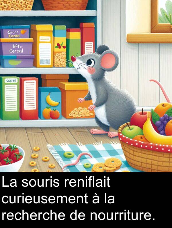 souris: La souris reniflait curieusement à la recherche de nourriture.