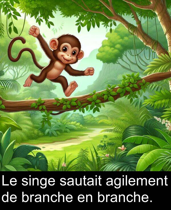 singe: Le singe sautait agilement de branche en branche.