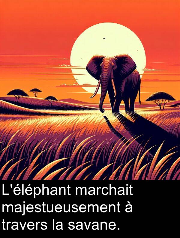 marchait: L'éléphant marchait majestueusement à travers la savane.