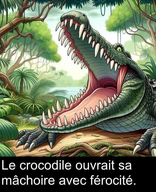 férocité: Le crocodile ouvrait sa mâchoire avec férocité.