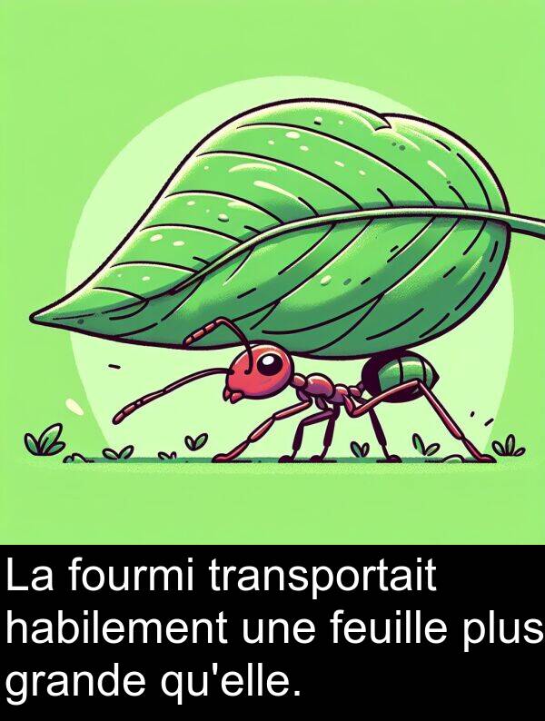 feuille: La fourmi transportait habilement une feuille plus grande qu'elle.