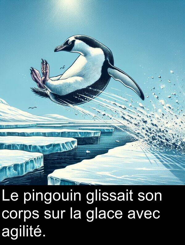 glissait: Le pingouin glissait son corps sur la glace avec agilité.