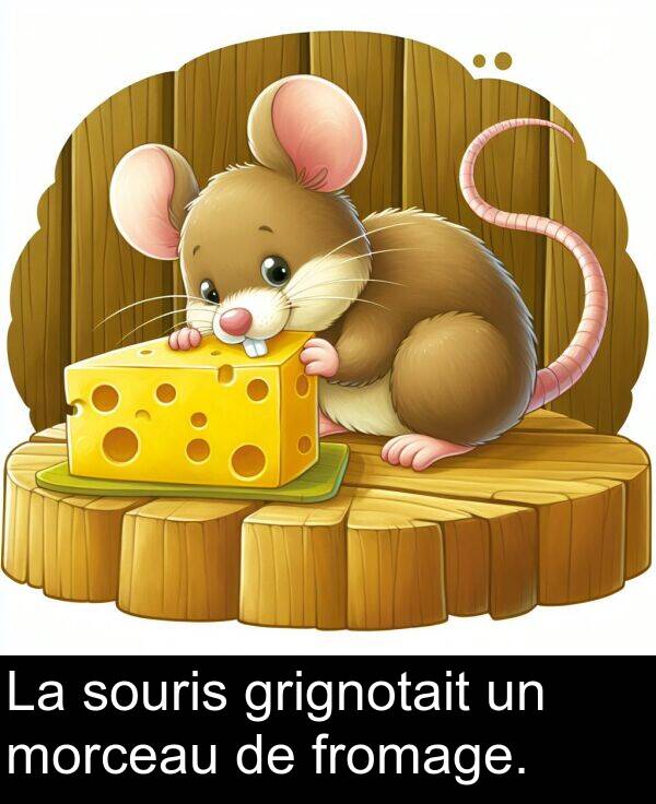 fromage: La souris grignotait un morceau de fromage.