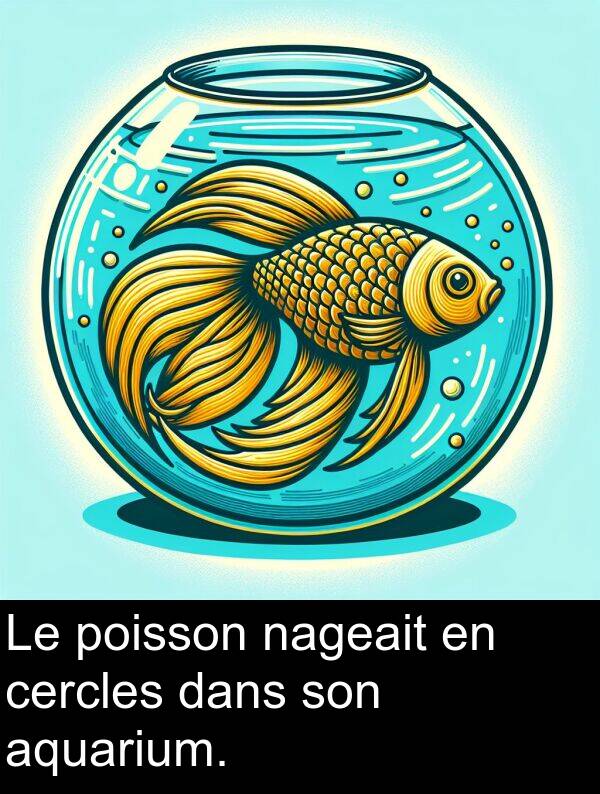 aquarium: Le poisson nageait en cercles dans son aquarium.