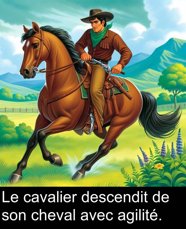 avec: Le cavalier descendit de son cheval avec agilité.