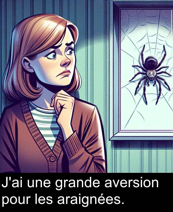 une: J'ai une grande aversion pour les araignées.