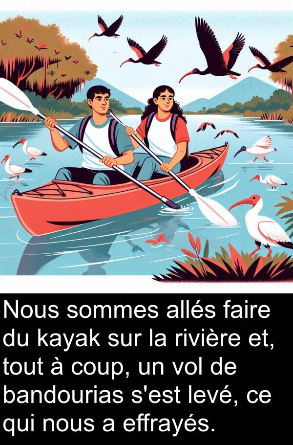 allés: Nous sommes allés faire du kayak sur la rivière et, tout à coup, un vol de bandourias s'est levé, ce qui nous a effrayés.