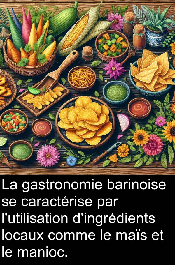 gastronomie: La gastronomie barinoise se caractérise par l'utilisation d'ingrédients locaux comme le maïs et le manioc.