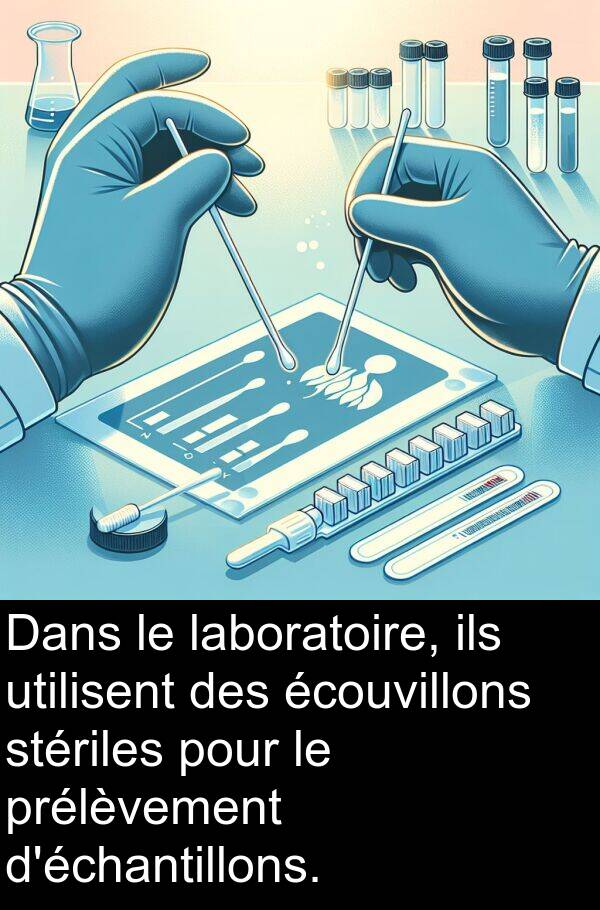 utilisent: Dans le laboratoire, ils utilisent des écouvillons stériles pour le prélèvement d'échantillons.