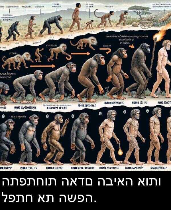 האדם: התפתחות האדם הביאה אותו לפתח את השפה.