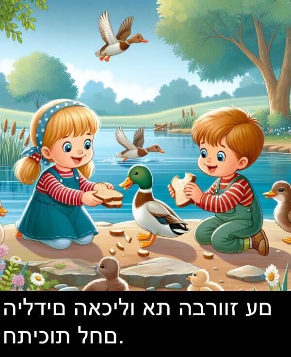 האכילו: הילדים האכילו את הברווז עם חתיכות לחם.