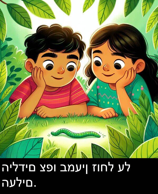 זוחל: הילדים צפו במעין זוחל על העלים.