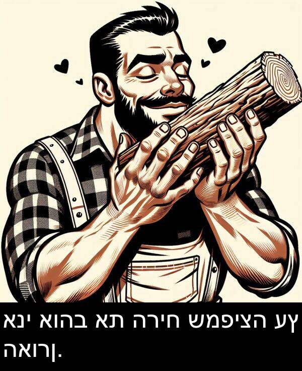 האורן: אני אוהב את הריח שמפיצה עץ האורן.