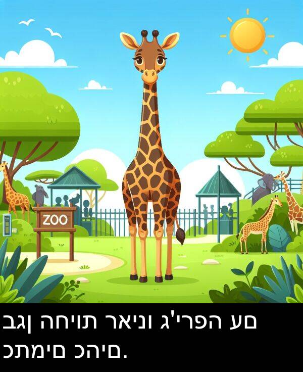 כתמים: בגן החיות ראינו ג'ירפה עם כתמים כהים.